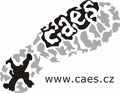 ČAES