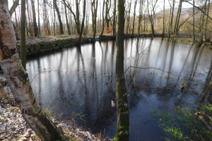 Historický rybník