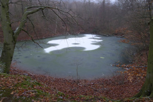 Zasněžený rybník